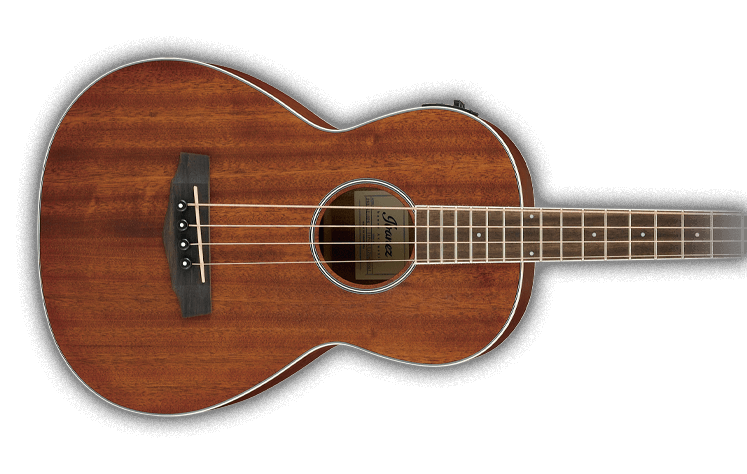 ACOUSTIC BASS