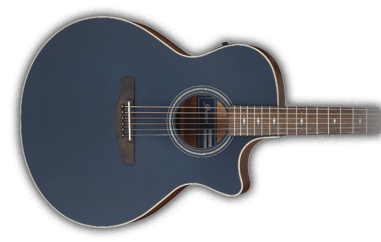 29500円 期間限定で特別価格 アイバニーズ アコースティックギター