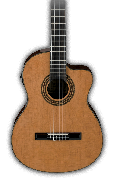 Ibanez IACS61C « Corde guitare folk