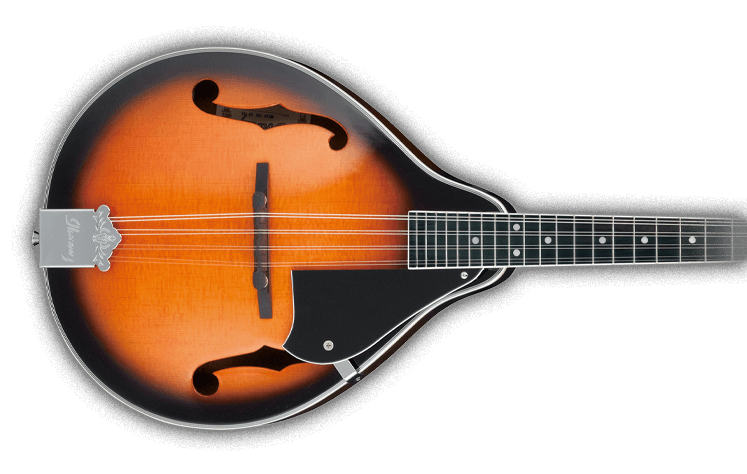 MANDOLINS