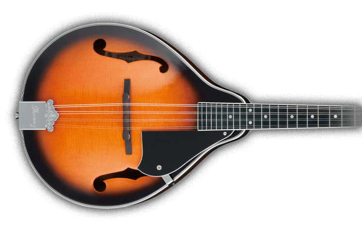 MANDOLINS PRODUCTS Ibanez Guitars