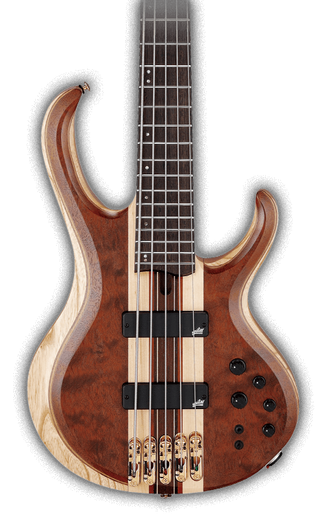 régiment Jeunesse Marco Polo ibanez btb prestige 5 string bass argent ...