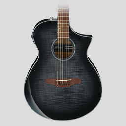 ACOUSTIC GUITARS | PRODUCTS | Ibanez guitars - アイバニーズ