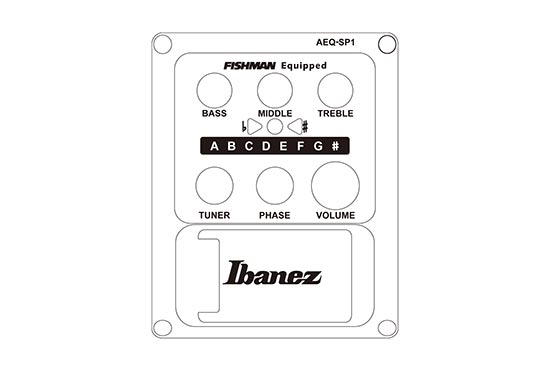 AEWC11's preamp diagram