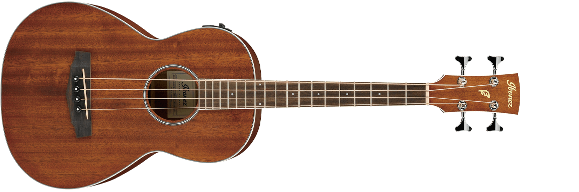 ACOUSTIC BASS