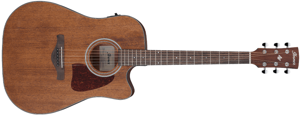 ARTWOOD Traditional Acoustic Electric