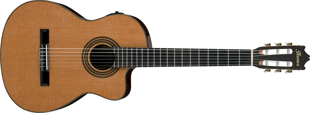 Guitare Acoustique & électro Ibanez