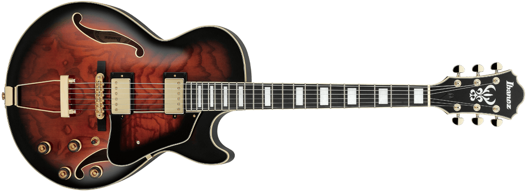 Ibanez AG95(AG Artcore Expressionist) tic-guinee.net