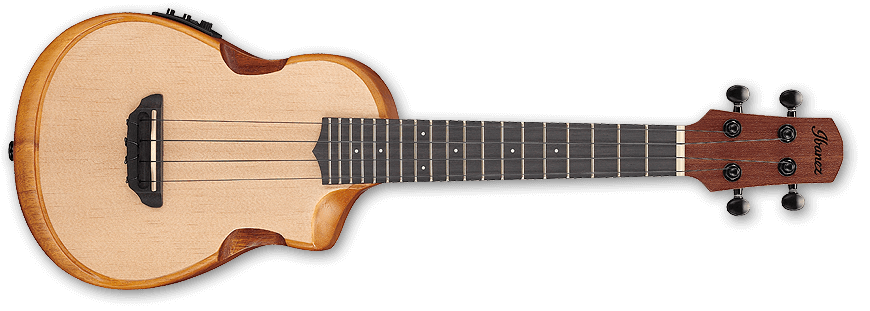 AUC10E_OPN_2Y_01 IBANEZ