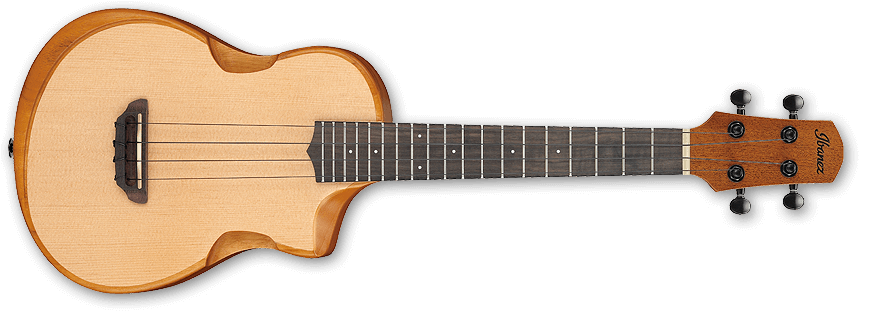 AUT10_OPN_2Y_01 IBANEZ