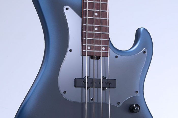 Transparent pickguard