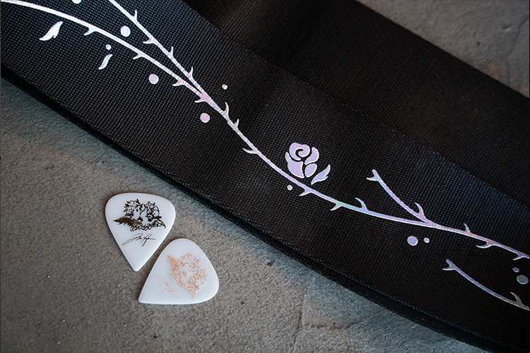 ACCESSORIES PRODUCTS Ibanez guitars
