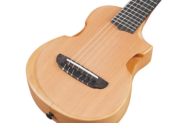 Chambered body