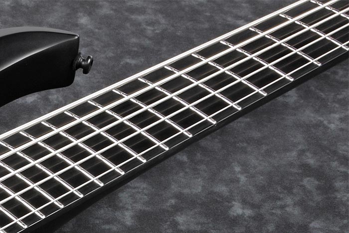 Ebonol fretboard