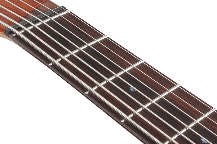 Rosewood fretboard