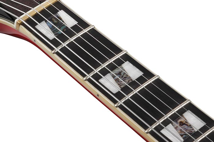 Ebony fretboard