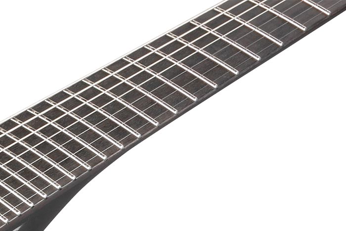 Ebony fretboard