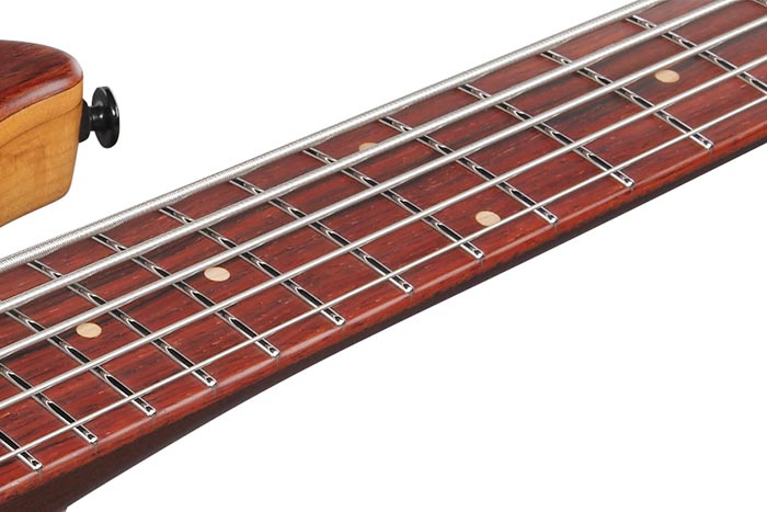Cocobolo fretboard
