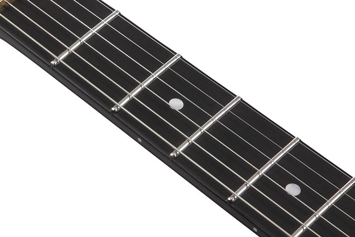 Ebony fretboard