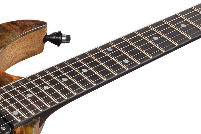 Ebony fretboard