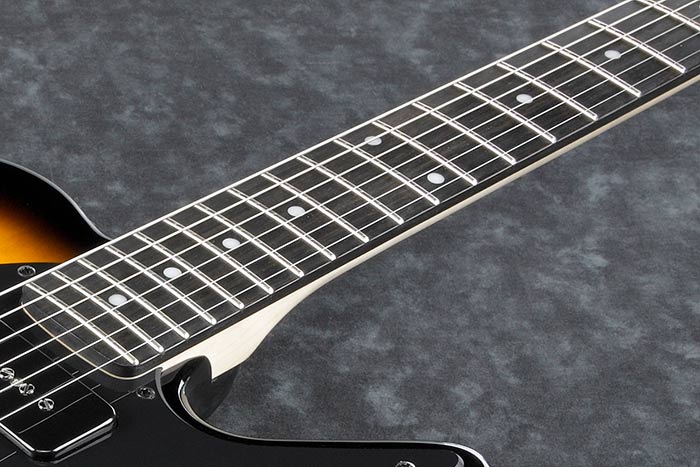 Ebony fretboard