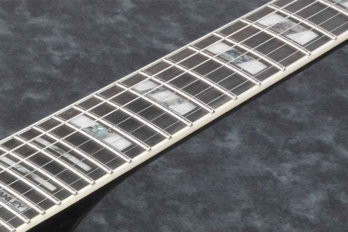 Ebony Fretboard