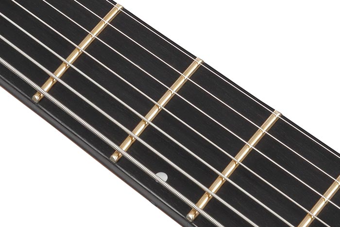 Jumbo Jescar EVOgold&trade; frets