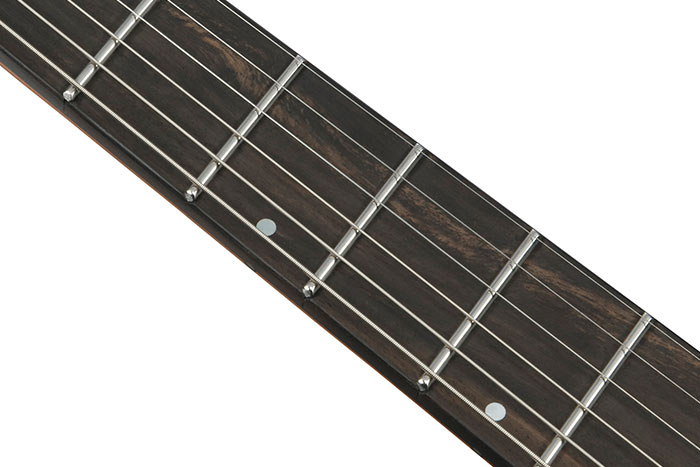 Ebony fretboard