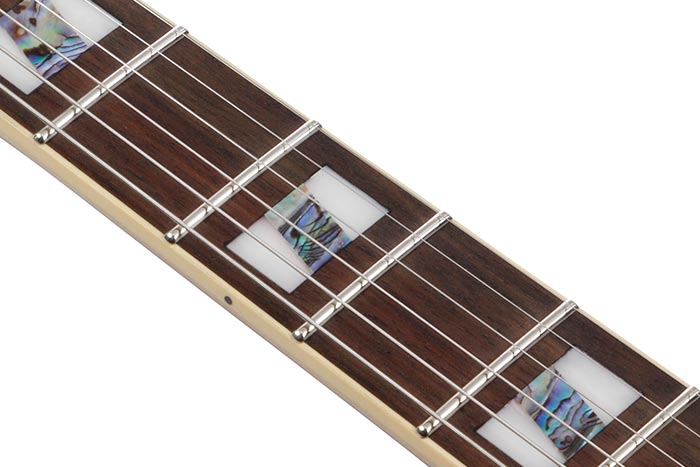 Macassar Ebony fretboard