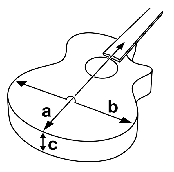 Body Diagram Image