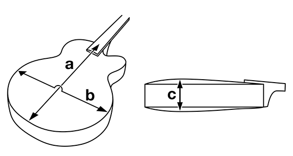 Body Diagram