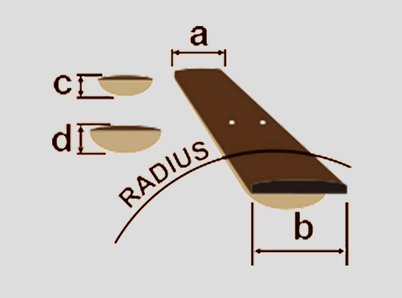 Guitar Neck Diagram