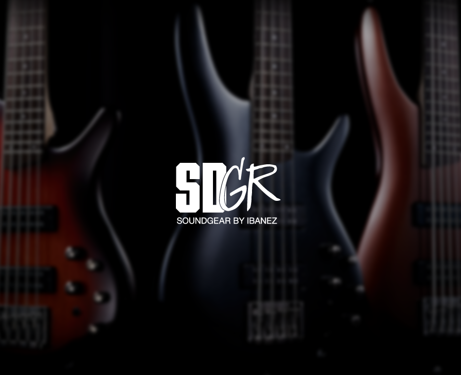 ibanez ベース ビート音最高（自分好みのルックスと構えた感覚を