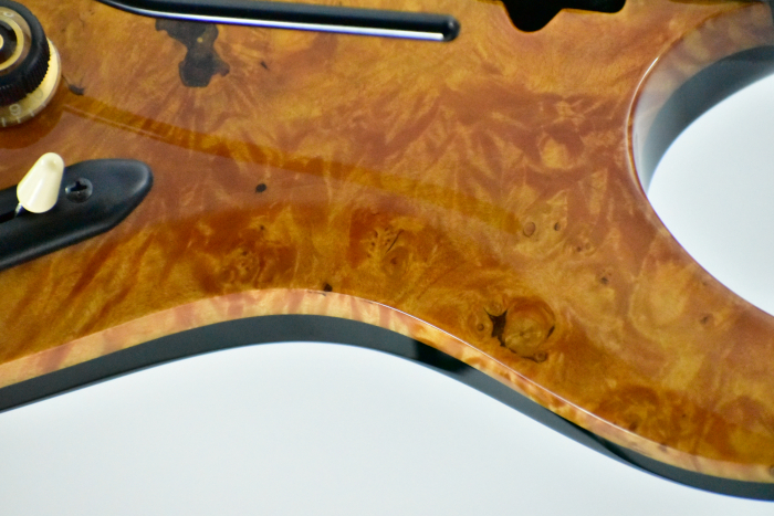 Exotic Maple top/Honduras Mahogany back body