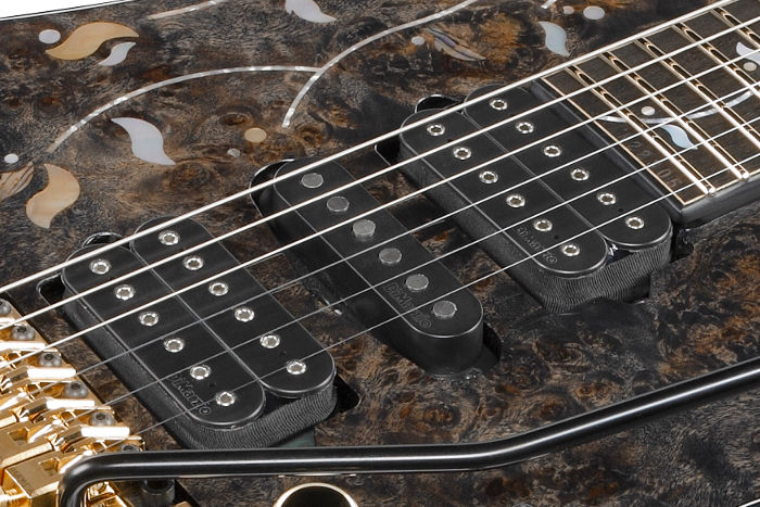 DiMarzio&reg; Pickups