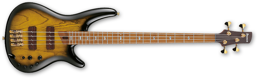 SR4500-DST