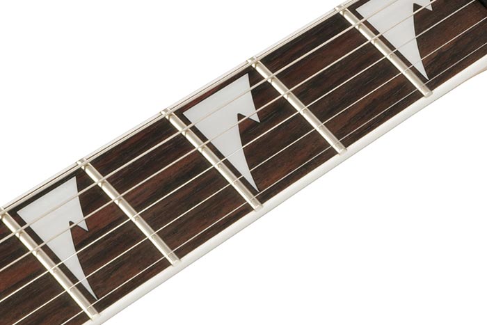 Rosewood fretboard