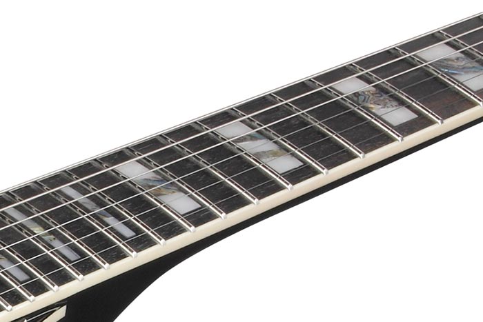 Ebony fretboard