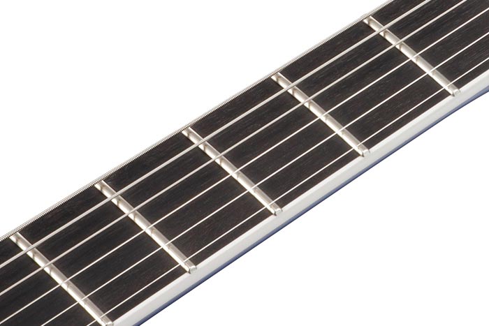 Ebony fretboard