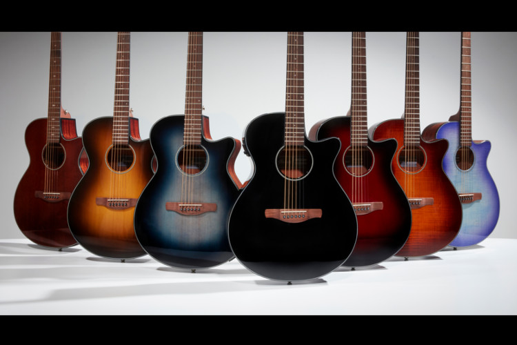 ACOUSTIC GUITARS | PRODUCTS | Ibanez guitars - アイバニーズ