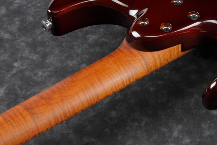 AZ Oval C S-TECH WOOD Roasted Flamed Maple neck AZ Oval C S-TECH WOOD Roasted Flamed Maple neck