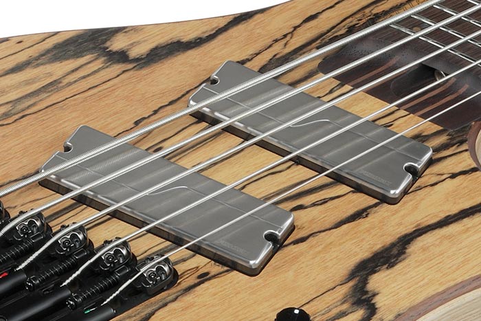 Fishman® Fluence™ pickups