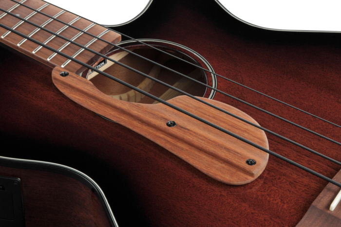 Electric Acoustic Bass w/Thumb Rest