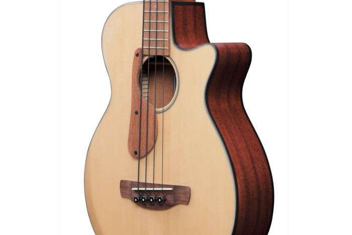 Spruce top / Sapele back & sides