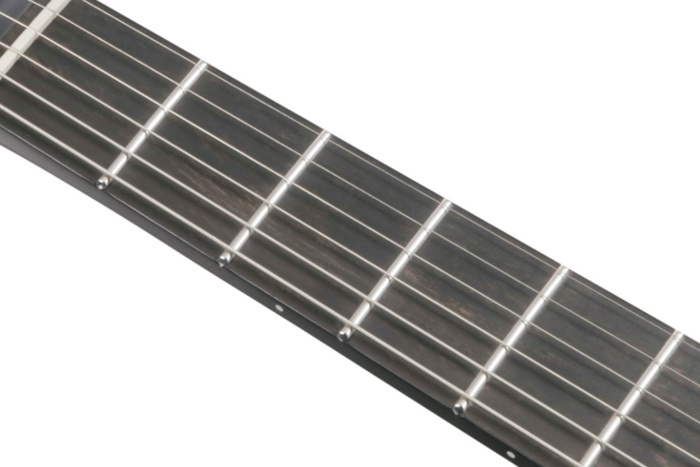 Ebony fretboard