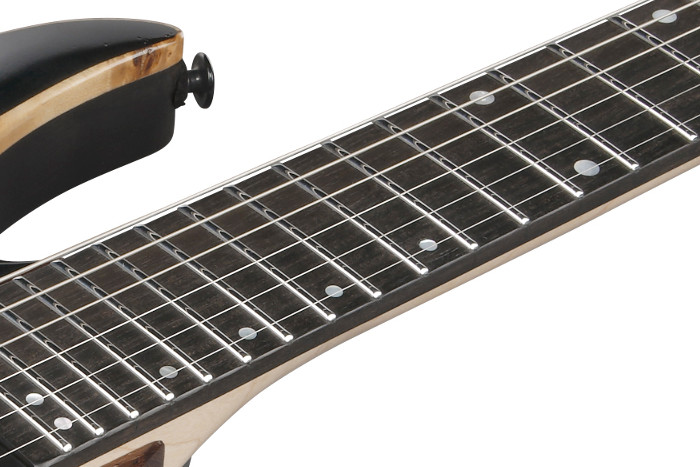 Ebony fretboard