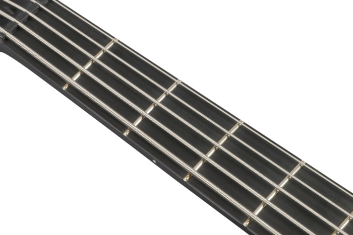 Ebonol fretboard