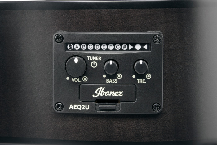 Ibanez AEQ-2UT preamp w/Onboard tuner Image