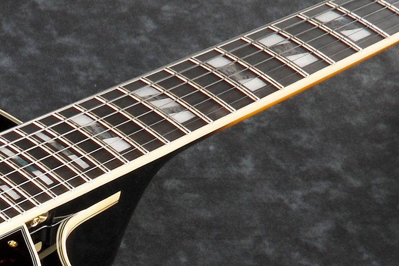 Ebony fretboard