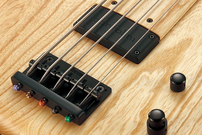 Bartolini&reg; GWB pickup & NTBT 2-band EQ